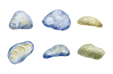 Set of sea stones. Underwater world.