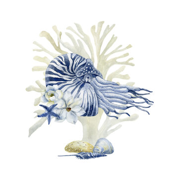 recommend clip art: Blue nautilus with flowers and seaweed.