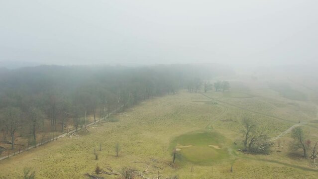 Drone fly by, over clearing in natinal park near copenhagen. 60fps
