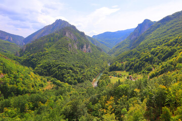 Fototapeta na wymiar Landscape with mountains near river Tara in Montenegro