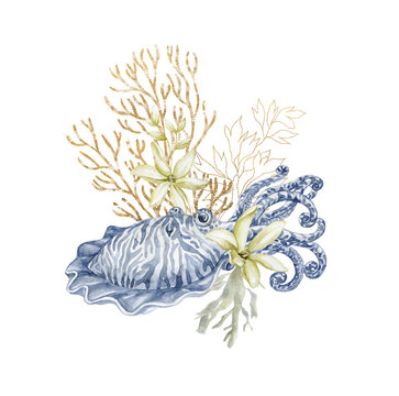 recommend clip art: Cuttlefish and coral. Underwater world.
