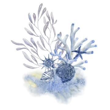 recommend clip art: Shells and coral. Sea life design.