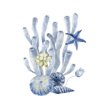 recommend clip art: Coral with shells. Underwater world.