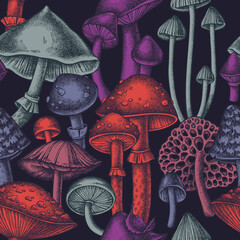 Forest mushrooms seamless pattern background design. Engraved style. Hand drawn mushrooms.