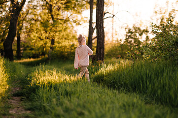 Naklejka na ściany i meble Little girl looking in a sunset in a hight green grass in the forest