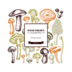 Square design with pastel oyster mushroom, champignon, honey agaric, etc.