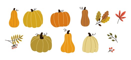 Autumn harvest. Pumpkins and falling leaves. Cozy bundle. Vector flat print