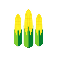 Corn on white background. Corn logo design.