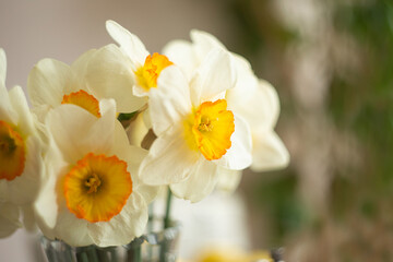 Closeup photography of bouquet from yellow daffodils.Selective focus.