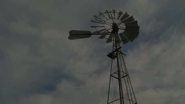 Windmill on Farmland. There are cattle drinking from a water hole. There is also a windmill in the scene. Texas style western mill
