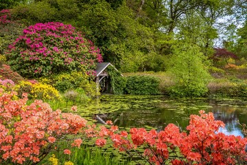Fototapeta na wymiar Spring time lakeside view in Bargany gardens