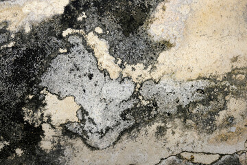 texture of stone