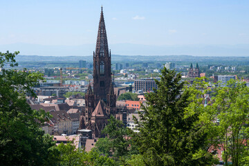 Fototapeta premium Freiburger Münster