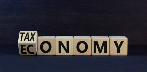 Taxonomy or economy symbol. Turned wooden cubes and change the concept word Economy to Taxonomy....