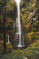 Waterfall around the levada faja do rodrigues trail on the island of Madeira, Portugal. A waterfall in the middle of an inescapable nature. Discovering a Portuguese island in the Atlantic Ocean