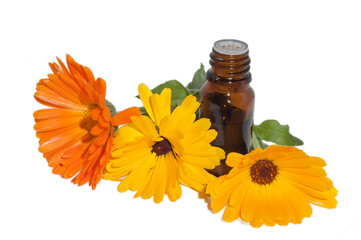 Cosmetic oil or perfume or medication in brown glass with  flowers of calendula