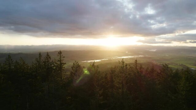 Sunset over the forest