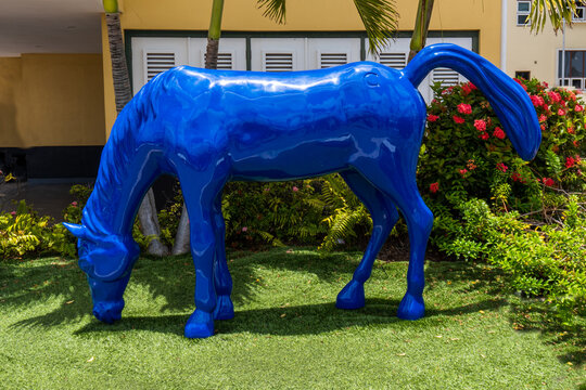 Oranjestad, Aruba - Blue horse statue tribute to Paarden Baai (Horses Bay) city&rsquo;s original name. Exporting horses was a major business. Horses jumped from ship into Caribbean Sea. 