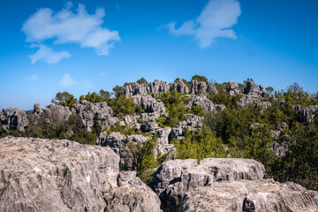 Fototapeta na wymiar Mer des rochers or sea of rocks, a chaos of limestone rocks, in Sauve, Gard, South of France
