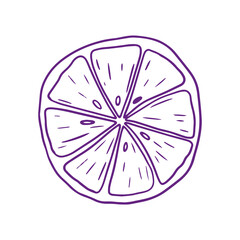 Slice of Lemon outline illustration. Pen Drawing immitation