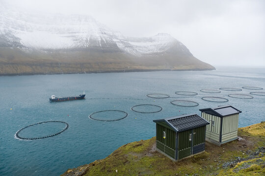Élévage de saumons dans un fjord aux îles Féroé