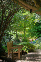 Fototapeta na wymiar Bench in The Garden