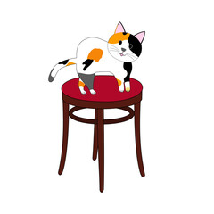 A calico cat standing on a red stool: white background
