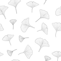 Ginkgo biloba sketch background