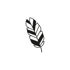 Boho stylized bird feather.