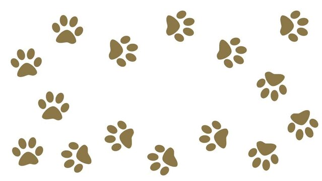 Footprints of a walking animal. Paw prints on a white background are isolated.