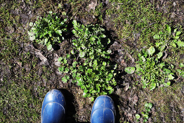 foot selfie in the garden.