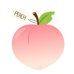 Peach cartoon vector. Doodle peach with leaves icon. Peach fruit in shape of heart isolated on white background. Farm, natural food, fresh fruits.
