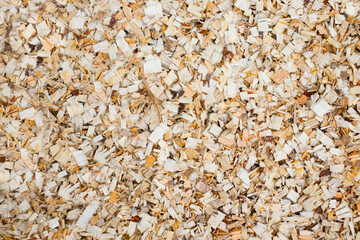 Close-up of a layer of sawdust from freshly sawn trees. Wood sawing waste used for heating.