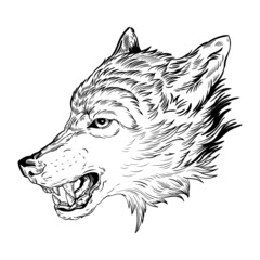 illustration black and white lines graphics animal predator wolf head grin teeth