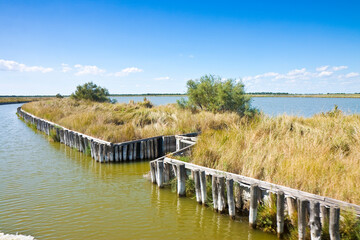 The Comacchio valleys are known worldwide for eel fishing - It is a UNESCO site and protected area...