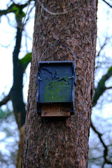 Modern design bat house made of wood and concrete with a drawing of a bat. Located in a forest on a pine tree. Amersfoort, the Netherlands