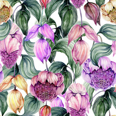 Beautiful medinilla flowers on climbing twigs against white background. Seamless floral pattern. Hand painted illustration. Fabric, wallpaper and linens design. - 504438755