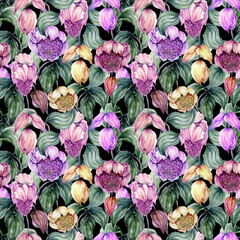 Beautiful medinilla flowers on climbing twigs against black background. Seamless floral pattern. Hand painted illustration. Fabric, wallpaper and linens design. - 504438757