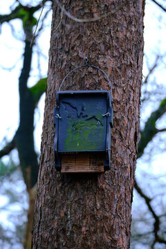 Modern design bat house made of wood and concrete with a drawing of a bat. Located in a forest on a pine tree. Amersfoort, the Netherlands