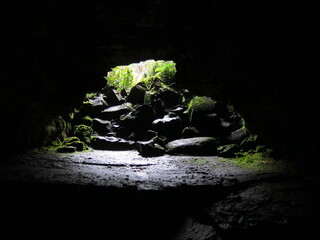 Light at the end of the tunnel. Green vegetation and moist shiny black volcanic rocks. Foreground unfocused. View from inside Kaumana Cave, a lava tube created by a 1881 lava flow. Hilo, Hawaii.