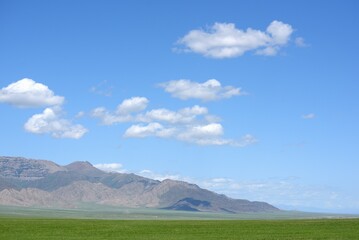 Mountain landscape on a summer day near Narynkol village on a Kazakh China border
