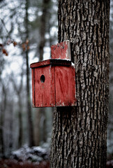 A homemade bird house provides shelter during the winter to small birds.
