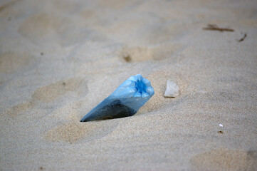 Plastikowe odpadki butelka pozostawiona na plaży. 	 - obrazy, fototapety, plakaty