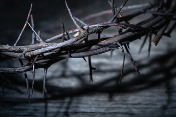 Crown thorns as symbol of passion, death and resurrection of Jesus Christ.  Horizontal image.