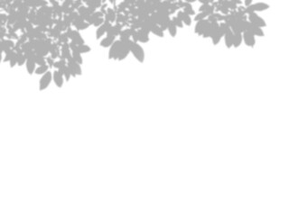 Botanic shadows overlay, Photoshop overlay, Plant tree flower Shadow, light casts, light effect, png