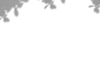 Botanic shadows overlay, Photoshop overlay, Plant tree flower Shadow, light casts, light effect, png