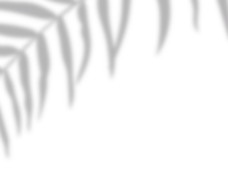 Botanic shadows overlay, Photoshop overlay, Plant tree flower Shadow, light casts, light effect, png