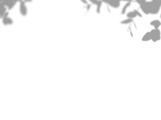 Botanic shadows overlay, Photoshop overlay, Plant tree flower Shadow, light casts, light effect, png