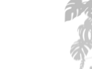 Botanic shadows overlay, Photoshop overlay, Plant tree flower Shadow, light casts, light effect, png