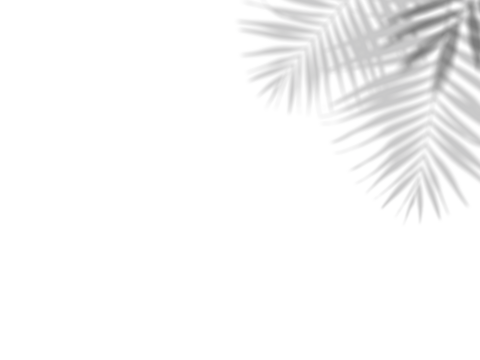 Botanic shadows overlay, Photoshop overlay, Plant tree flower Shadow, light casts, light effect, png